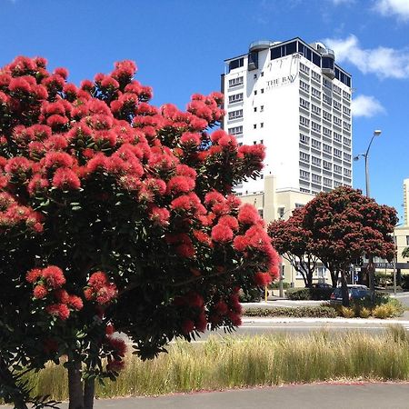 Bay Plaza Hotel Wellington Eksteriør billede