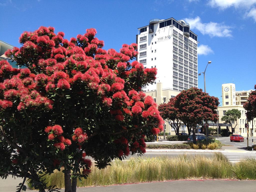 Bay Plaza Hotel Wellington Eksteriør billede