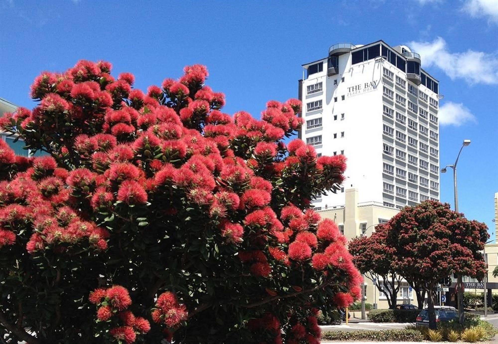 Bay Plaza Hotel Wellington Eksteriør billede
